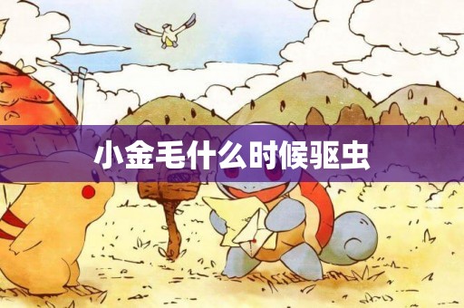 小金毛什么時候驅蟲