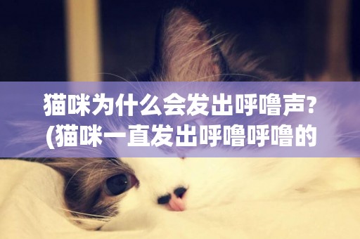 貓咪為什么會發出呼嚕聲?(貓咪一直發出呼嚕呼嚕的聲音是為什么) 