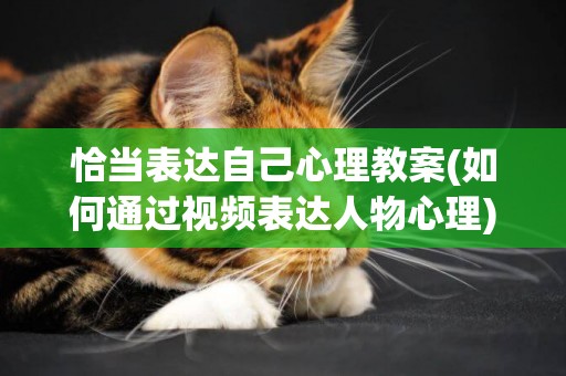 恰當表達自己心理教案(如何通過視頻表達人物心理) 
