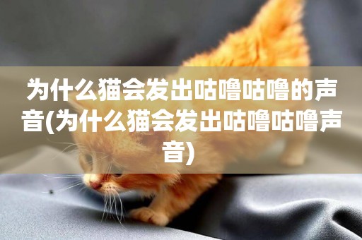 為什么貓會發出咕嚕咕嚕的聲音(為什么貓會發出咕嚕咕嚕聲音) 