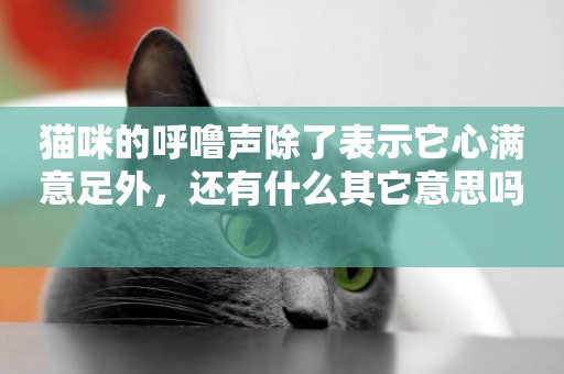貓咪的呼嚕聲除了表示它心滿意足外，還有什么其它意思嗎 