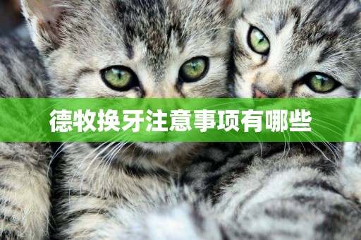 德牧換牙注意事項有哪些