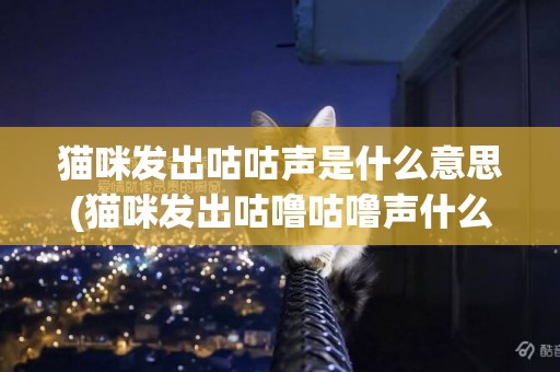 貓咪發出咕咕聲是什么意思(貓咪發出咕嚕咕嚕聲什么意思) 