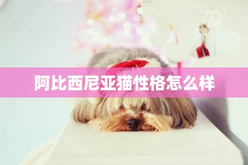 阿比西尼亞貓性格怎么樣