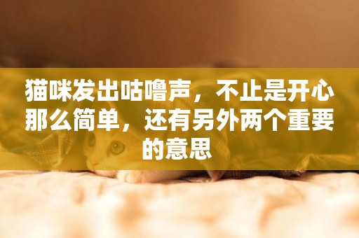 貓咪發出咕嚕聲，不止是開心那么簡單，還有另外兩個重要的意思 