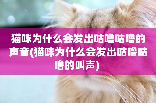 貓咪為什么會發出咕嚕咕嚕的聲音(貓咪為什么會發出咕嚕咕嚕的叫聲) 