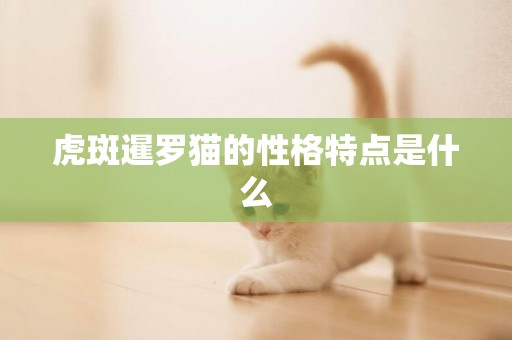 虎斑暹羅貓的性格特點是什么