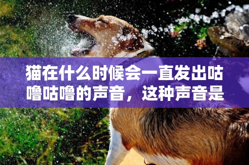貓在什么時候會一直發出咕嚕咕嚕的聲音，這種聲音是怎么發出來的 