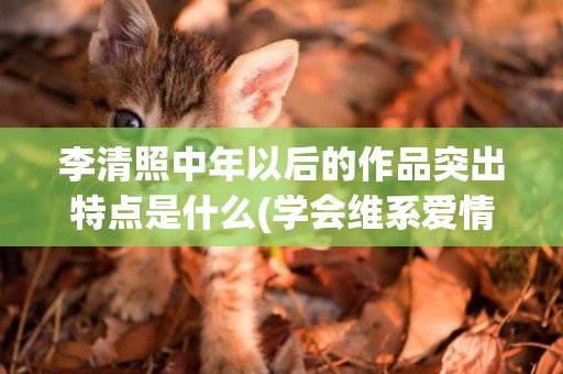 李清照中年以后的作品突出特點是什么(學會維系愛情以后不用再惋惜是什么歌) 