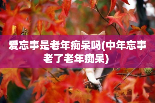 愛忘事是老年癡呆嗎(中年忘事老了老年癡呆) 