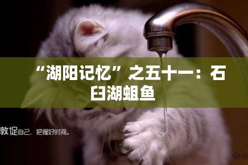 “湖陽記憶”之五十一：石臼湖蛆魚 