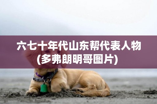六七十年代山東幫代表人物(多弗朗明哥圖片) 