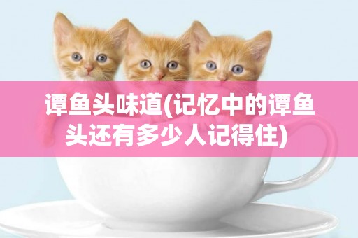 譚魚頭味道(記憶中的譚魚頭還有多少人記得住) 