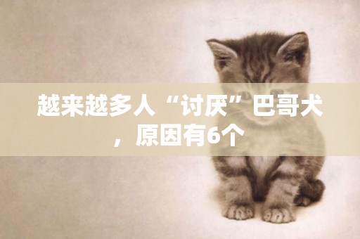 越來越多人“討厭”巴哥犬，原因有6個 