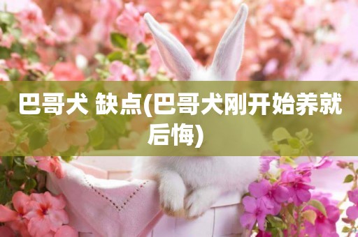巴哥犬 缺點(巴哥犬剛開始養就后悔) 