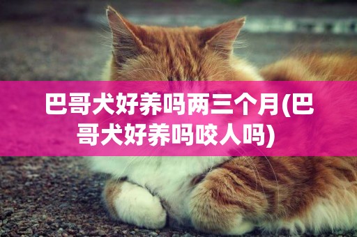 巴哥犬好養嗎兩三個月(巴哥犬好養嗎咬人嗎) 