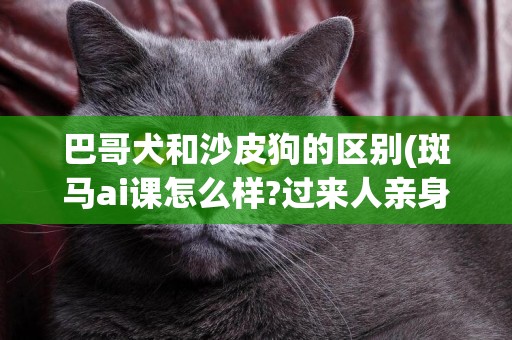 巴哥犬和沙皮狗的區別(斑馬ai課怎么樣?過來人親身經歷告訴你) 