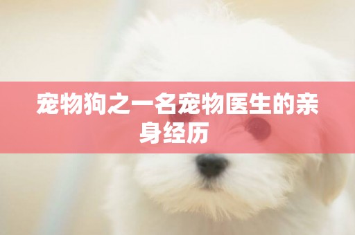 寵物狗之一名寵物醫生的親身經歷 