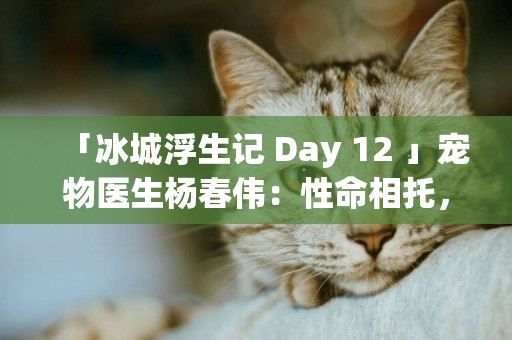 「冰城浮生記 Day 12 」寵物醫生楊春偉：性命相托，定當盡心竭力 