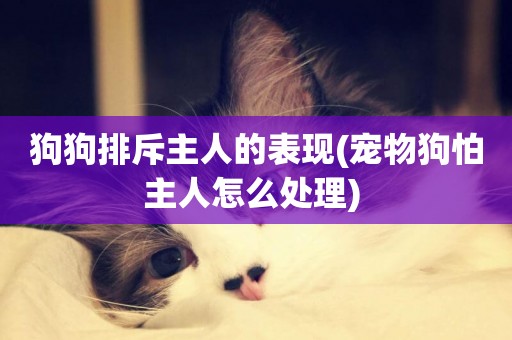 狗狗排斥主人的表現(寵物狗怕主人怎么處理) 