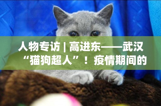 人物專訪 | 高進東——武漢“貓狗超人”！疫情期間的“寵物奶爸”！ 