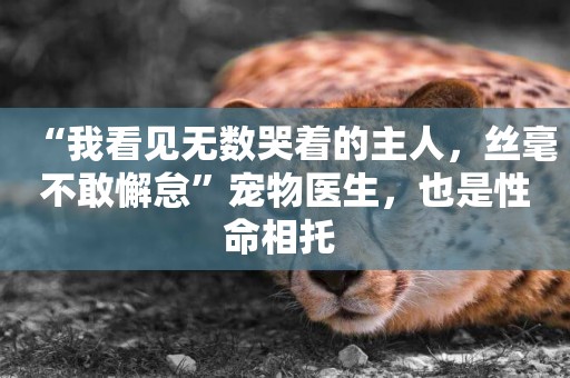 “我看見無數哭著的主人，絲毫不敢懈怠”寵物醫生，也是性命相托 