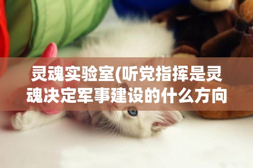 靈魂實驗室(聽黨指揮是靈魂決定軍事建設的什么方向) 