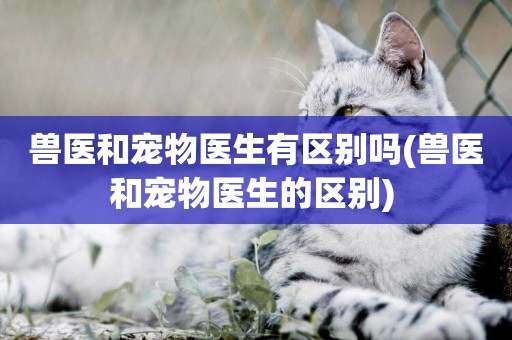 獸醫和寵物醫生有區別嗎(獸醫和寵物醫生的區別) 