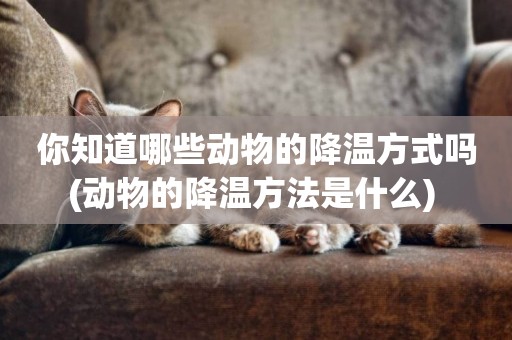 你知道哪些動物的降溫方式嗎(動物的降溫方法是什么) 