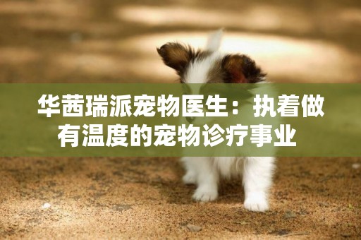 華茜瑞派寵物醫生：執著做有溫度的寵物診療事業 