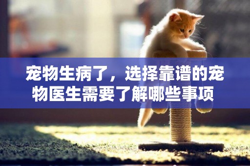寵物生病了，選擇靠譜的寵物醫生需要了解哪些事項 