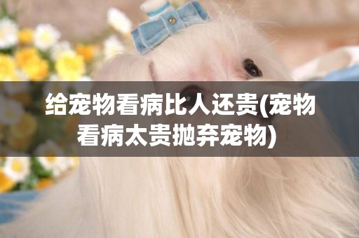 給寵物看病比人還貴(寵物看病太貴拋棄寵物) 