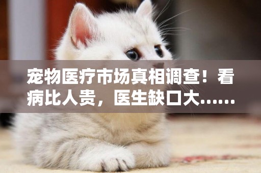 寵物醫療市場真相調查！看病比人貴，醫生缺口大…… 