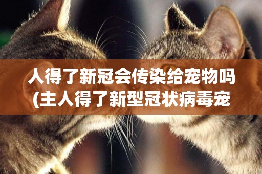 人得了新冠會傳染給寵物嗎(主人得了新型冠狀病毒寵物怎么辦) 