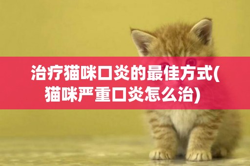 治療貓咪口炎的最佳方式(貓咪嚴重口炎怎么治) 