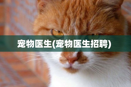 寵物醫生(寵物醫生招聘) 