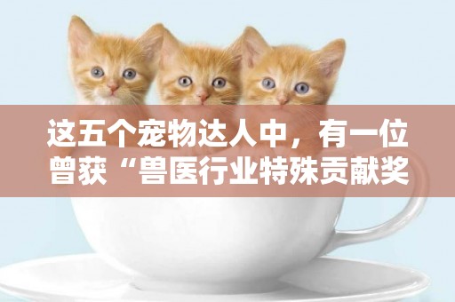 這五個寵物達人中，有一位曾獲“獸醫行業特殊貢獻獎”的寵物醫生 