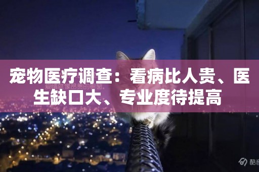 寵物醫療調查：看病比人貴、醫生缺口大、專業度待提高 
