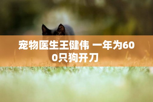 寵物醫生王健偉 一年為600只狗開刀 