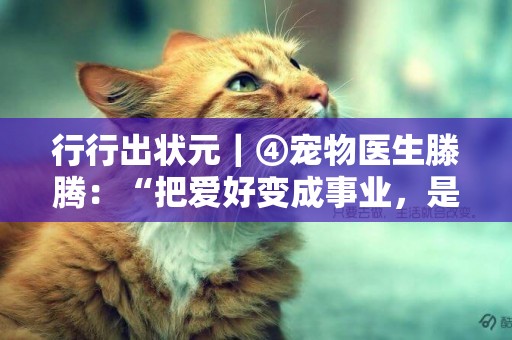 行行出狀元｜④寵物醫生滕騰：“把愛好變成事業，是一件很酷的事” 