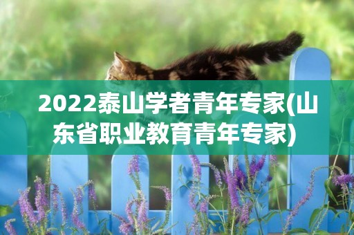 2022泰山學者青年專家(山東省職業教育青年專家) 