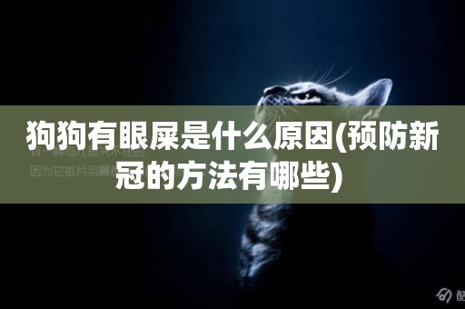 狗狗有眼屎是什么原因(預防新冠的方法有哪些) 
