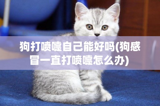 狗打噴嚏自己能好嗎(狗感冒一直打噴嚏怎么辦) 