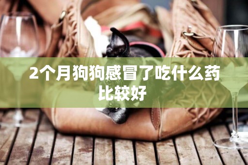 2個月狗狗感冒了吃什么藥比較好 