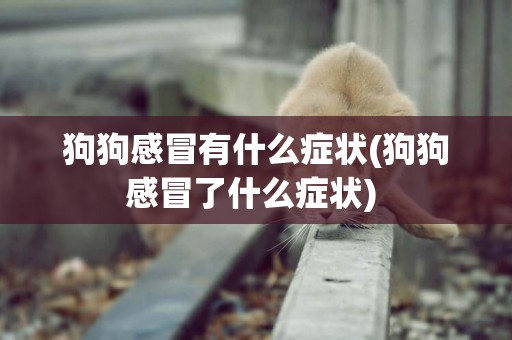 狗狗感冒有什么癥狀(狗狗感冒了什么癥狀) 