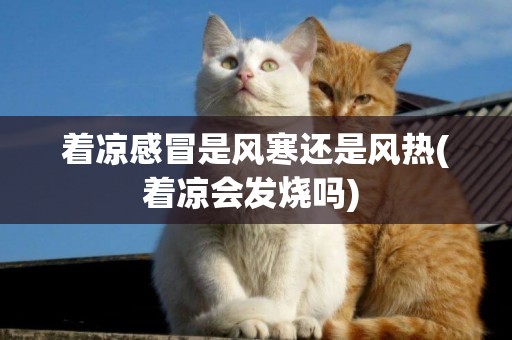 著涼感冒是風寒還是風熱(著涼會發燒嗎) 