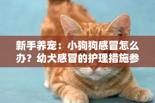 新手養寵：小狗狗感冒怎么辦？幼犬感冒的護理措施參考 