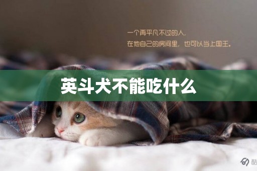 英斗犬不能吃什么
