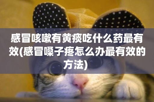 感冒咳嗽有黃痰吃什么藥最有效(感冒嗓子疼怎么辦最有效的方法) 