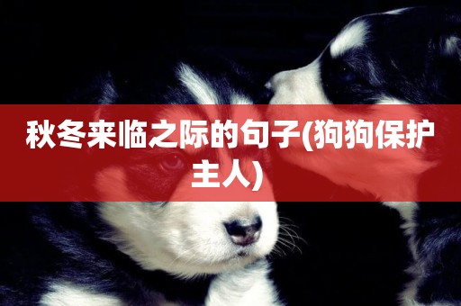 秋冬來臨之際的句子(狗狗保護主人) 